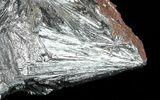 Metallic, Radiating Pyrolusite Cystals - Morocco #56960-1